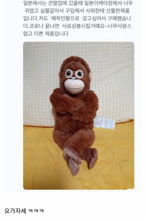 원숭이인형 웃긴리뷰