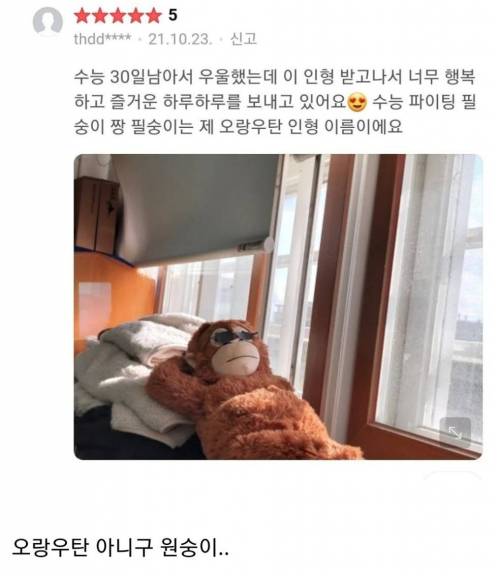 원숭이인형 웃긴리뷰