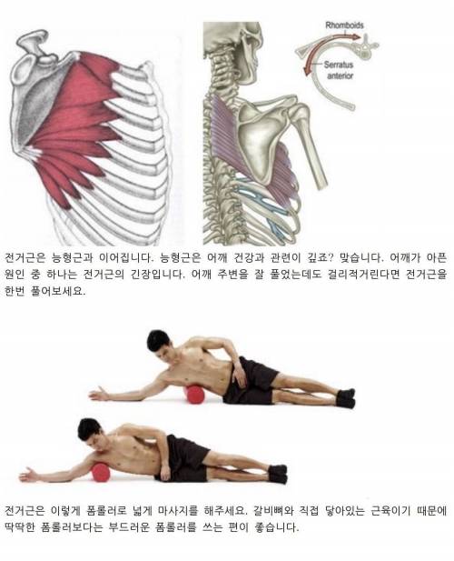 셀프마사지 하며 놓치기 쉬운 전거근 마사지