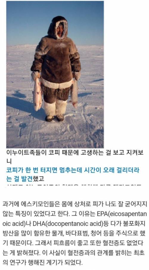 피가 너무 깨끗하면 위험한 이유