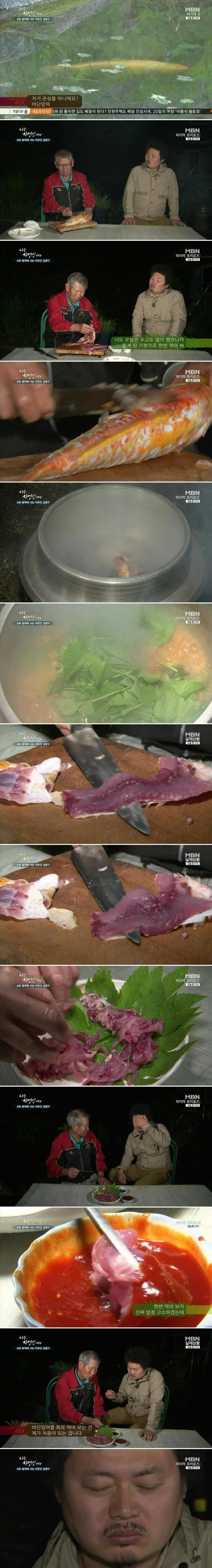 비단잉어회.jpg