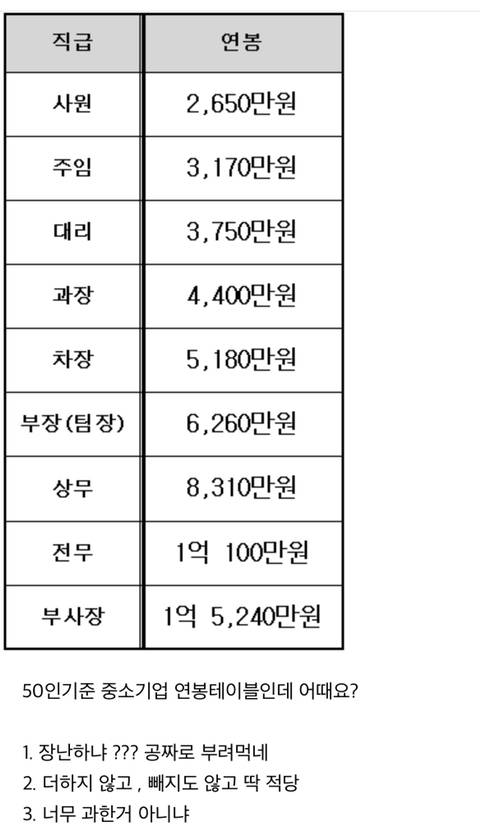 어느 중소기업 연봉표.jpg