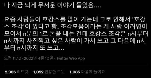 요즘 실제로 있다는 호캉스 문화.jpg