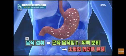 10인분이상 먹방후 먹방유투버의 위 상태