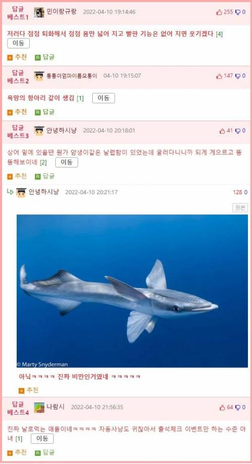 빨판상어 근황.jpg