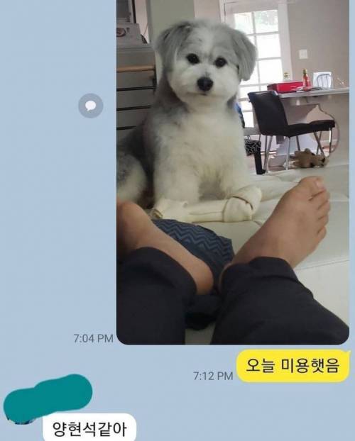 양현석 같아
