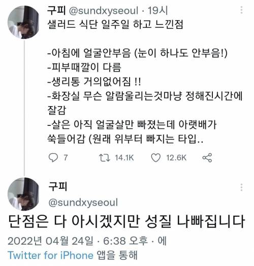 샐러드로 일주일 먹은 장단점.jpg