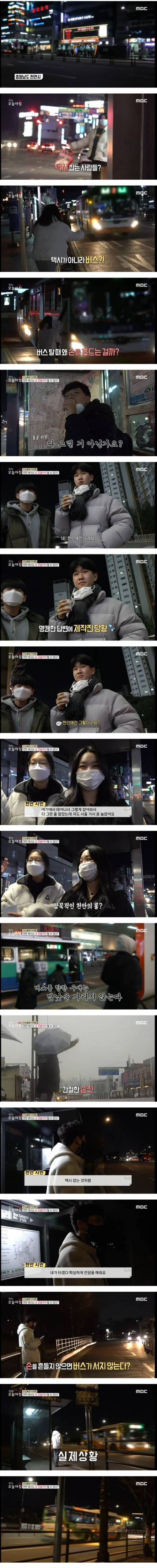천안버스의 실태.jpg