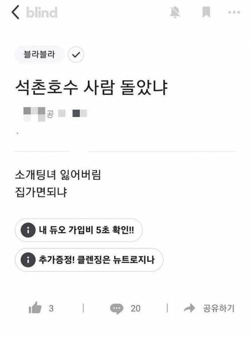 석촌호수 분실사건