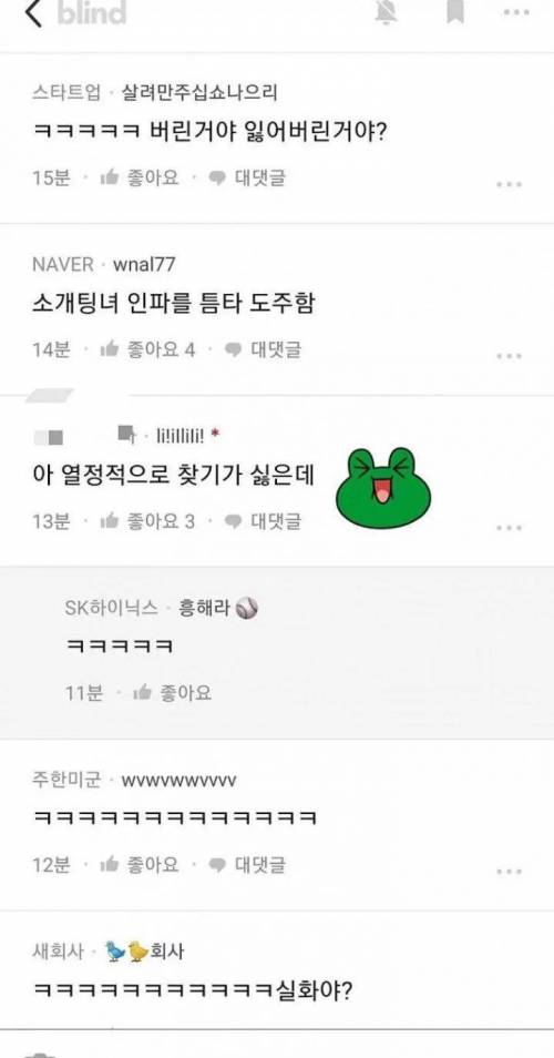 석촌호수 분실사건