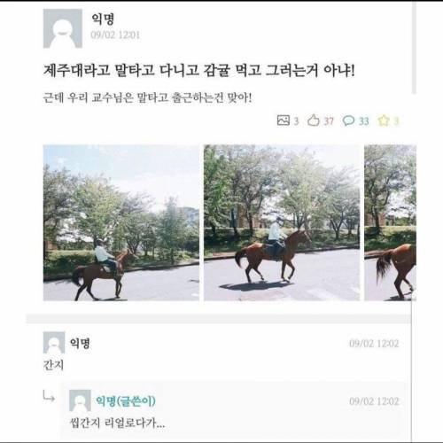 제주도에 대한 편견으로 힘들어하는 대학생.jpg