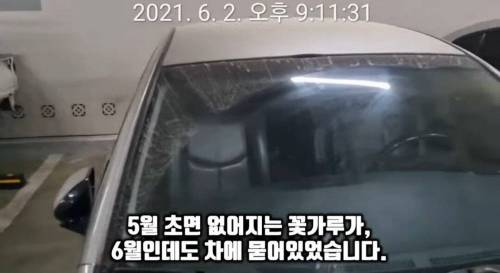 주차장 자리선점 차량 참교육하는 딸배헌터좌