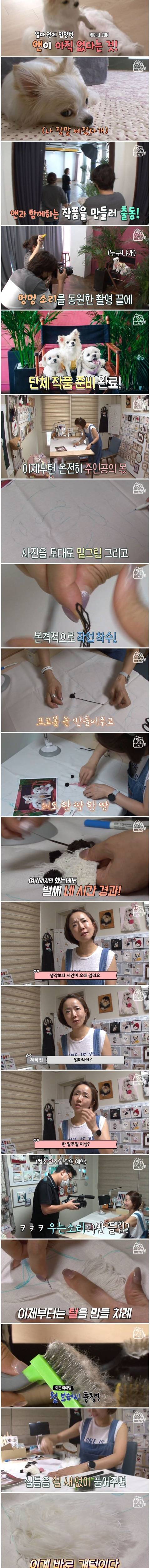 실사 같은 반려동물 입체자수.jpg