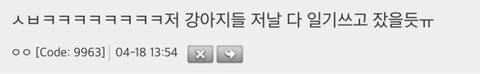 누가 댕댕이 공원에 RC카 가져옴.mp4
