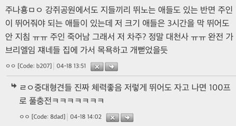 누가 댕댕이 공원에 RC카 가져옴.mp4