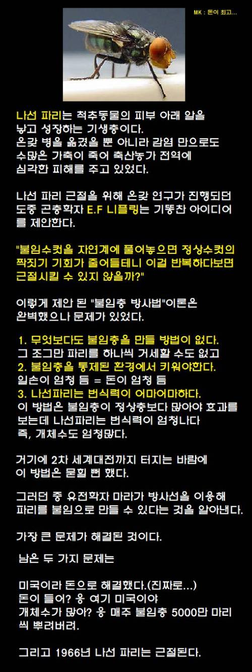 미국이 나선 파리를 멸종시킨 방법