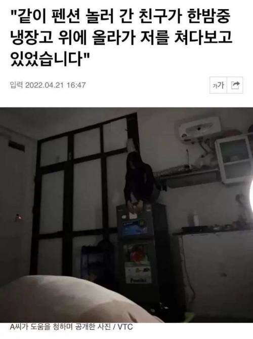 같이 펜션 놀러갔는데 한밤중 냉장고 위에 앉아 날 보는 친구