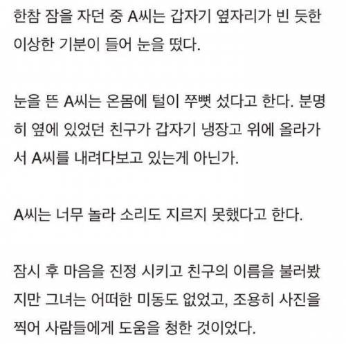 같이 펜션 놀러갔는데 한밤중 냉장고 위에 앉아 날 보는 친구