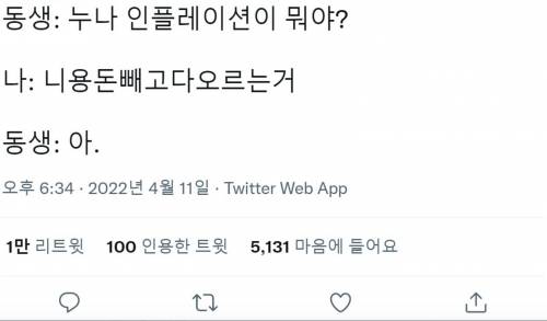 누나 인플레이션이 뭐야?