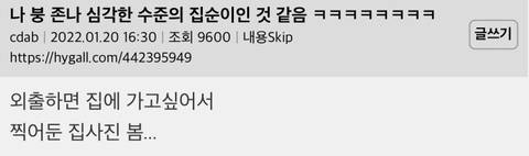 나 좀 심각한 수준의 집순이인것 같음
