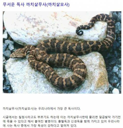 깝치다 뒤질 뻔한 사람