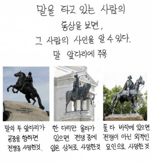 알아도 쓸모없는 지식