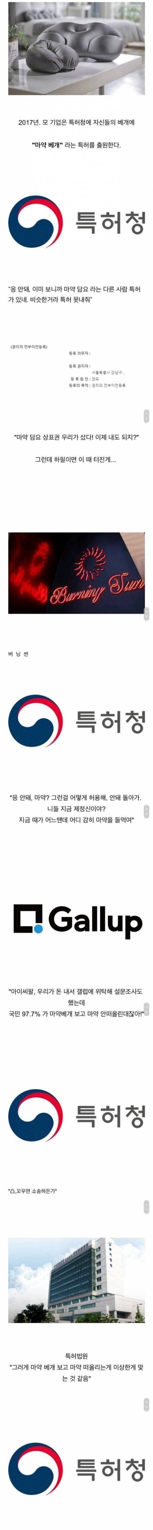 특허 신청을 5번이나 거절당한 역대급 베개...JPG