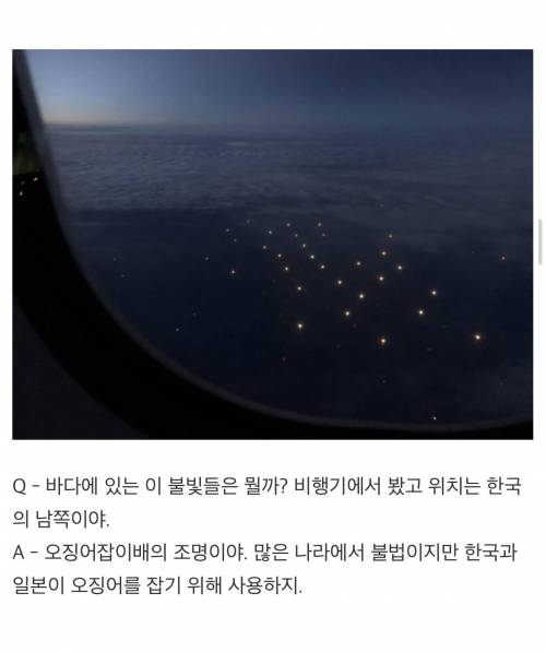 인터넷은 모든걸 알고 있다 한국편