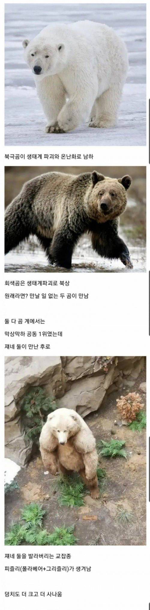 지구온난화때문에 탄생한 괴생물