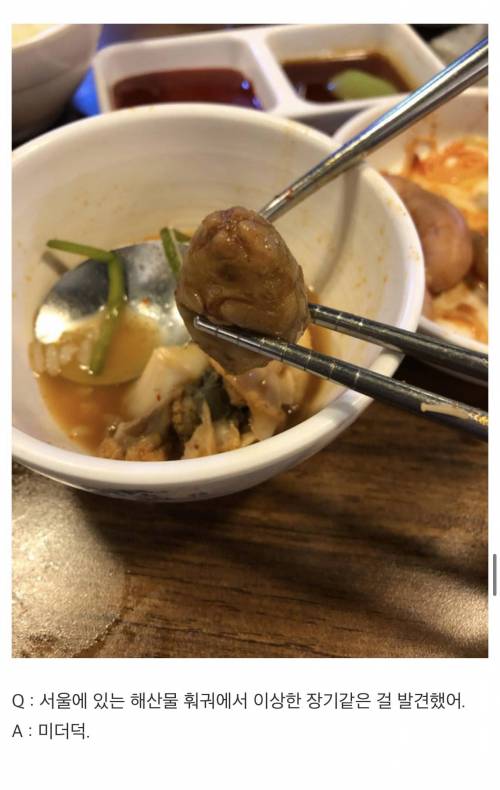 인터넷은 모든걸 알고 있다 한국편