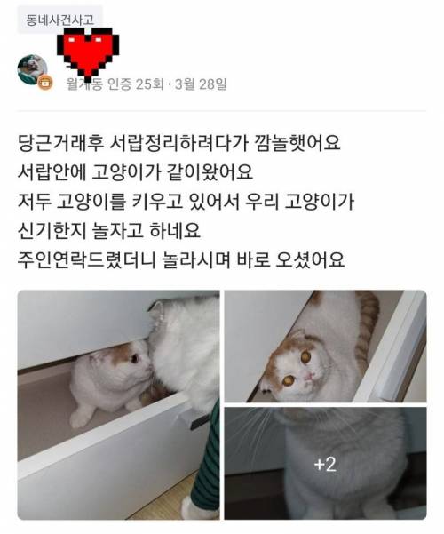 자다가 팔려감