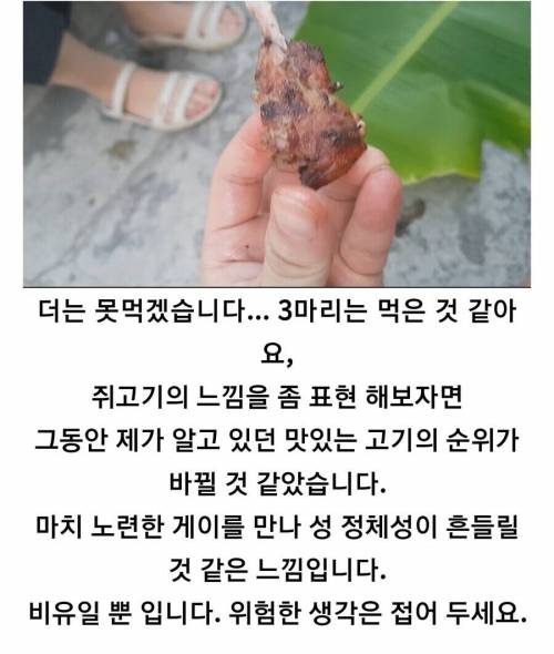 쥐고기를 먹어본 사람의 후기