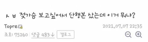 가슴 보려고 단행본 산 디씨인