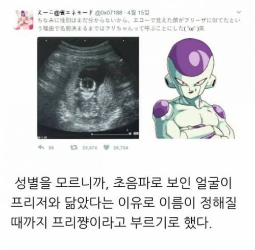 태명이 프리저인 아기