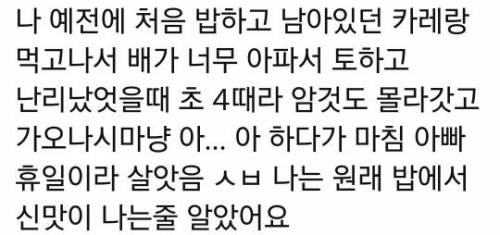 				하룻밤 재운 카레를 먹을 때 조심해야 할 점