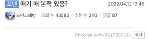 애기 매 본적 있음?...mp4