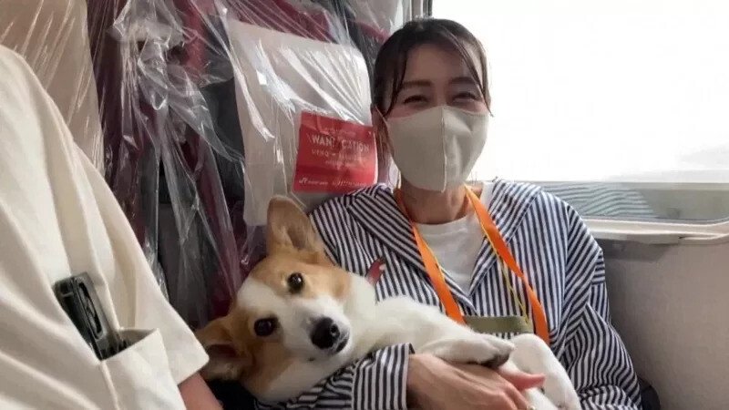 일본에서 시범 운영중인 반려견 전용칸 열차.jpg