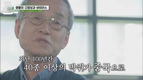 최재천 교수가 말하는 코로나와 지구온난화 그리고 생물다양성의 관계.jpg