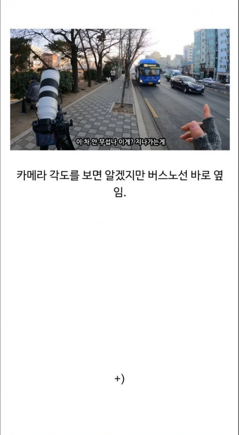 요즘 서울에 야생동물이 자주 출현하는 이유.jpg
