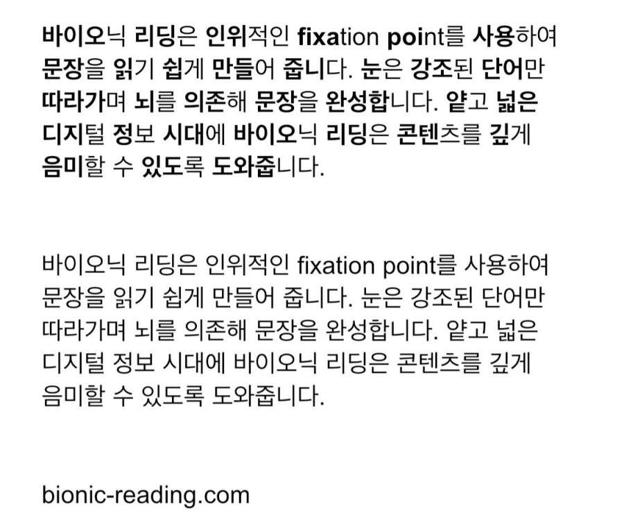글을 읽기 쉽게 만드는 바이오닉 리딩