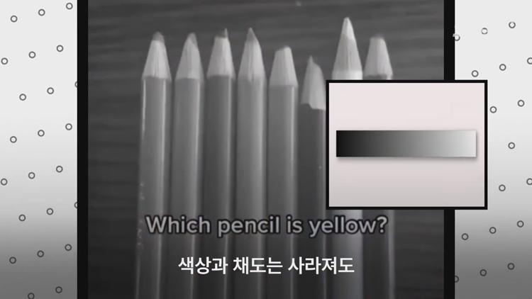 당신이 흑백사진에서 노란색을 찾아낸 이유 (전문가 피셜).jpg