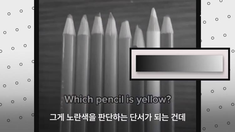 당신이 흑백사진에서 노란색을 찾아낸 이유 (전문가 피셜).jpg