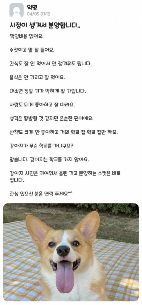 				사정이생겨 분양합니다
