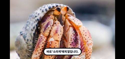 역대급 신박한 부동산회사 마케팅