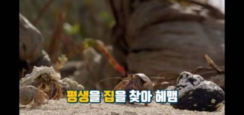 역대급 신박한 부동산회사 마케팅