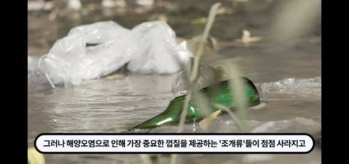 역대급 신박한 부동산회사 마케팅