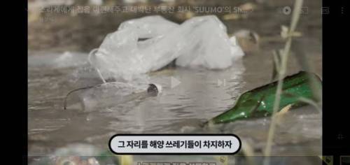 역대급 신박한 부동산회사 마케팅