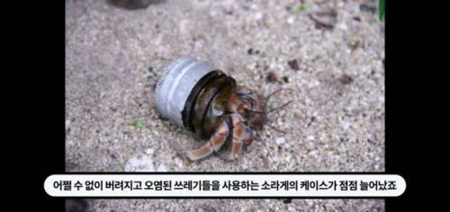 역대급 신박한 부동산회사 마케팅