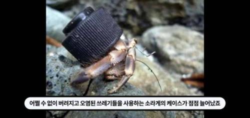 역대급 신박한 부동산회사 마케팅