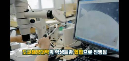 역대급 신박한 부동산회사 마케팅